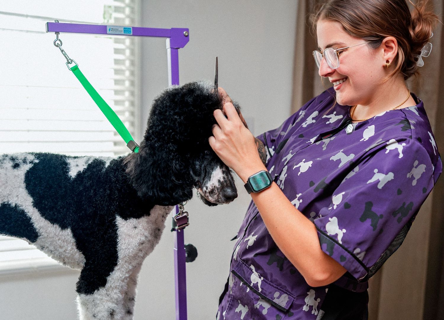 A sequence of photos showing a dog being trained with a purple leash and treats by someone wearing a purple shirt.