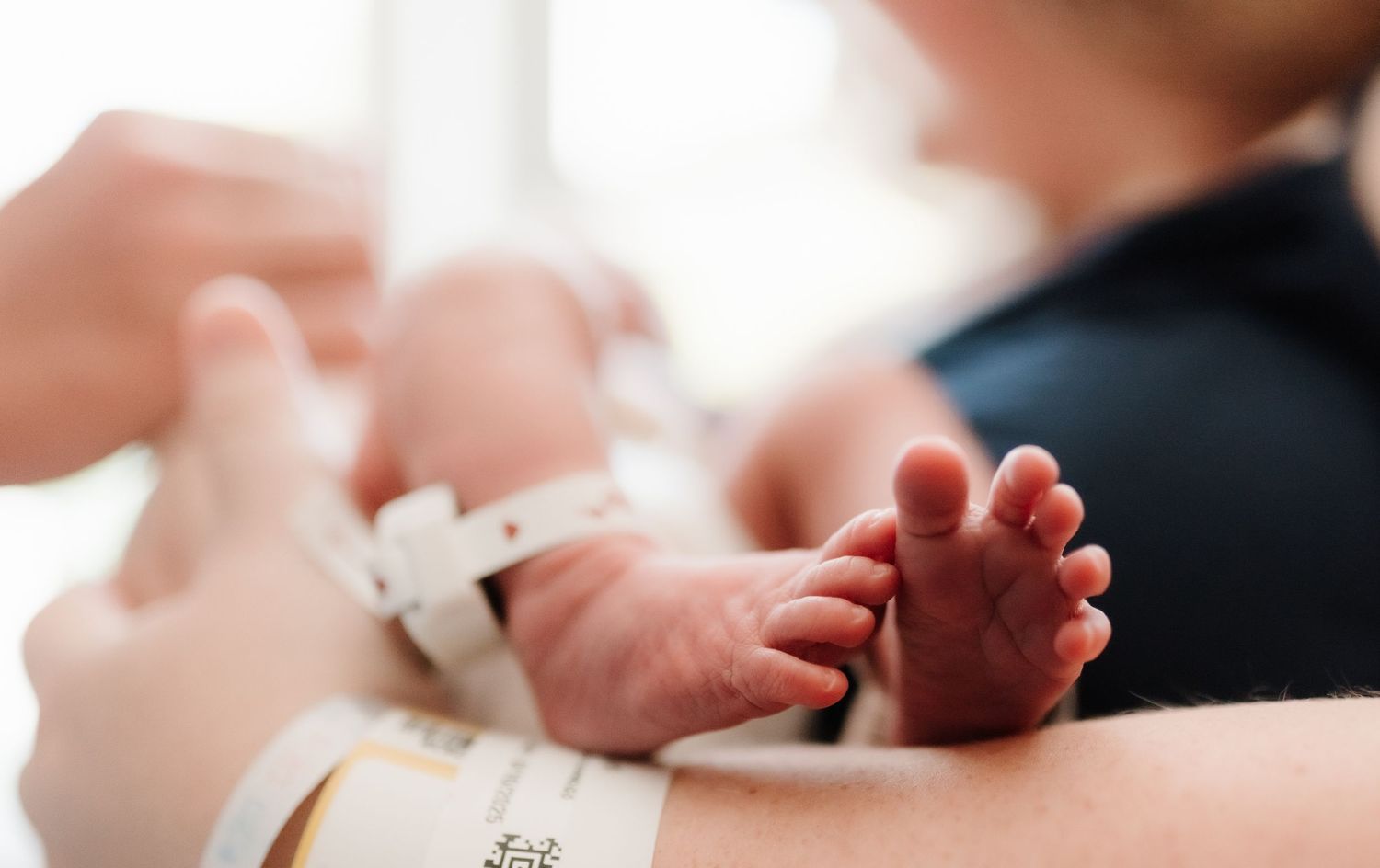 Tender moment of parent holding newborn baby's tiny feet against white background.