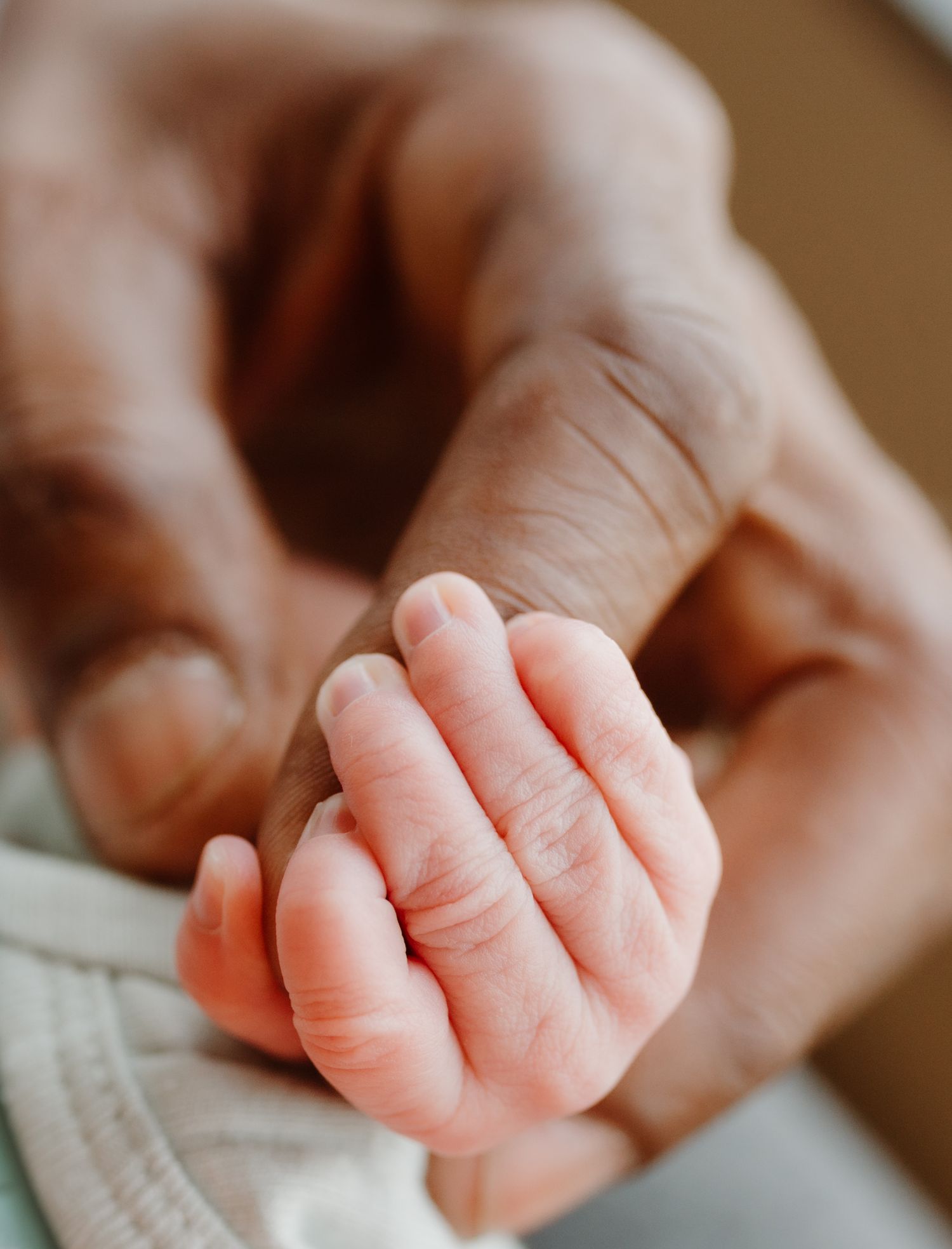 Close-up view of a tiny baby hand grasping with delicate fingers against a neutral background.