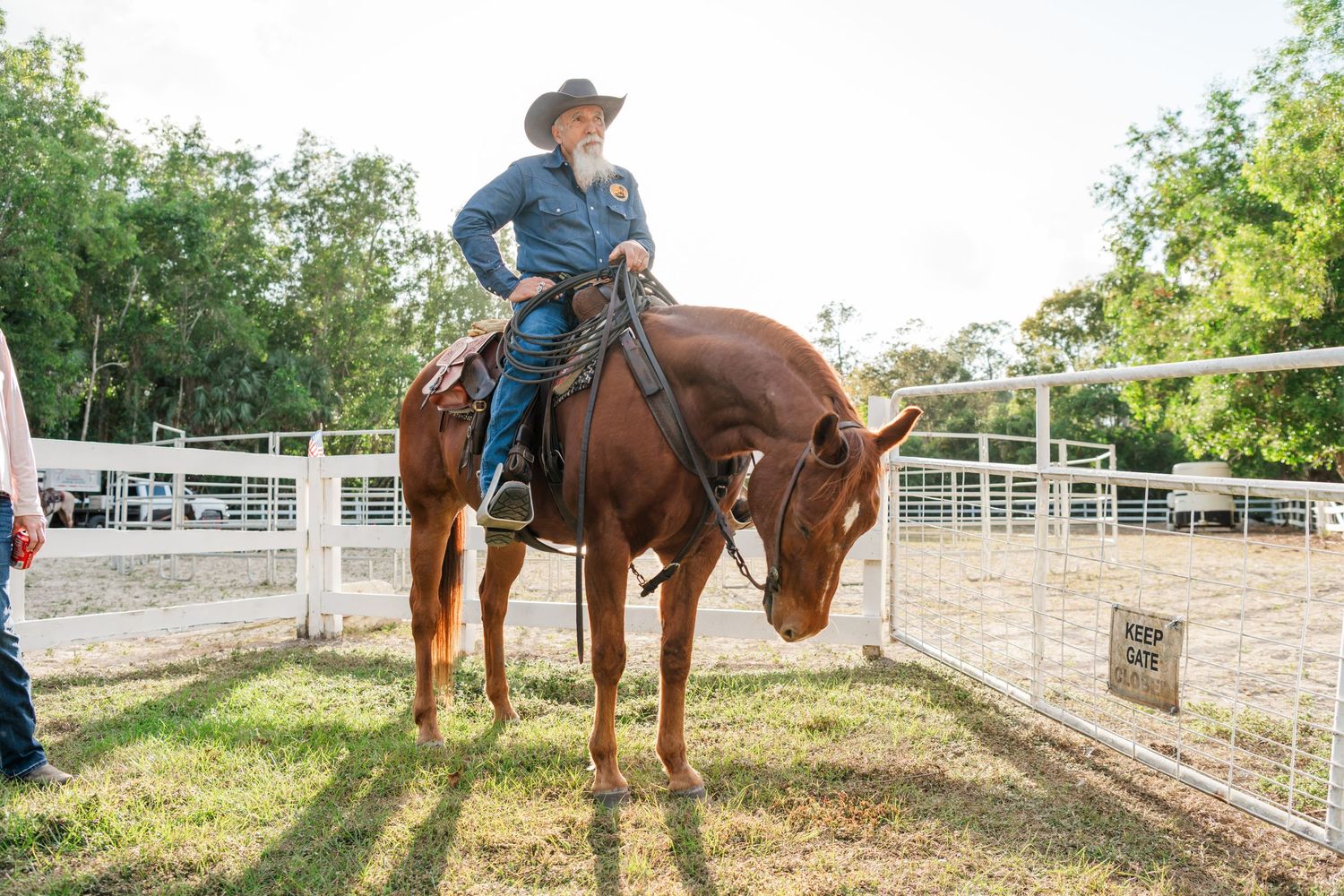 A series of equestrian training photos showing a horse and rider practicing in an outdoor arena with white fencing.