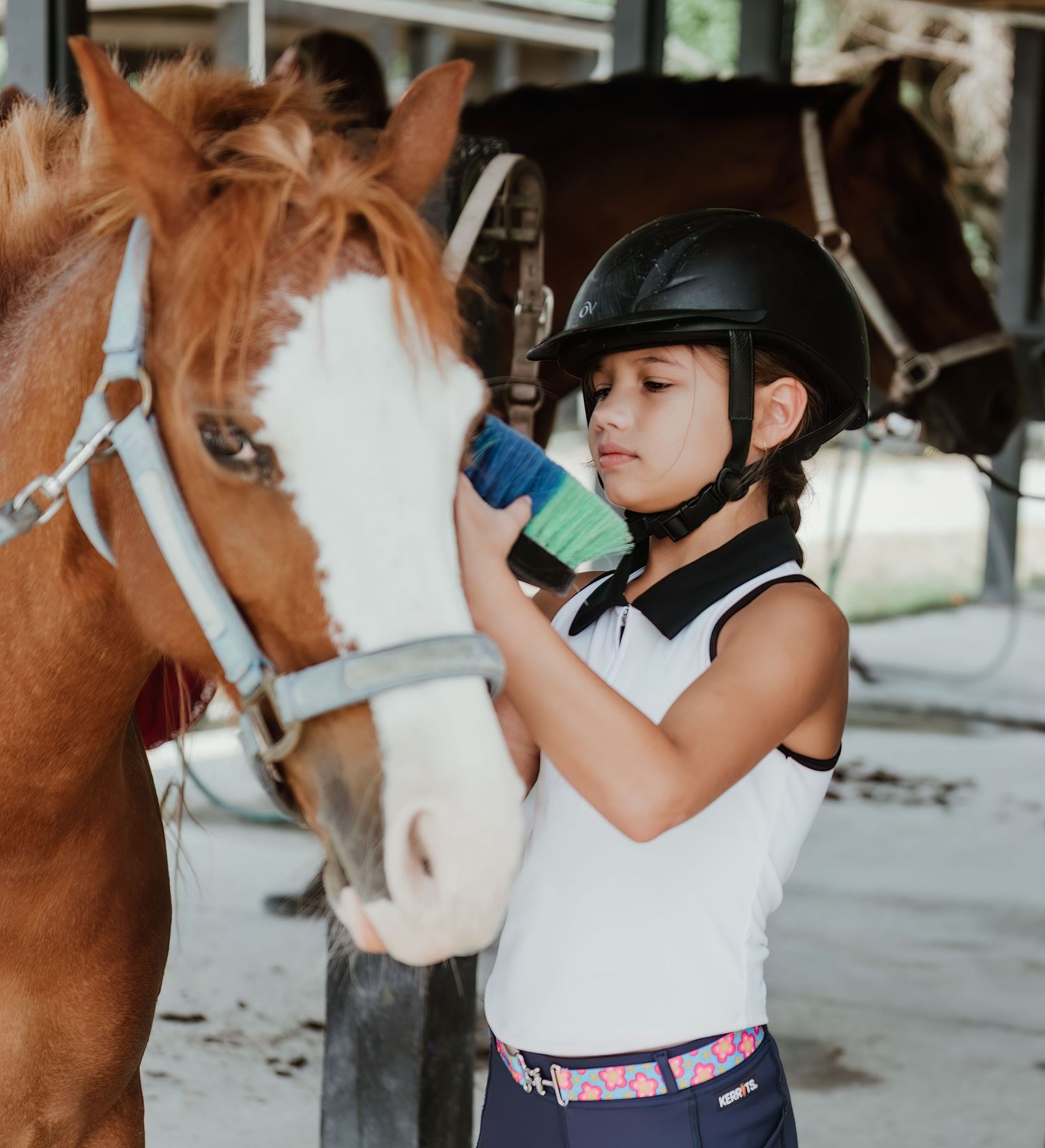 Young equestrian wearing a helmet takes a drink break next to a brown and white horse in the stable.