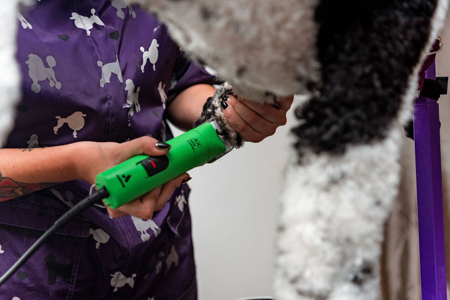 Professional groomer uses green pet dryer to blow dry a dog's fluffy coat during grooming session.