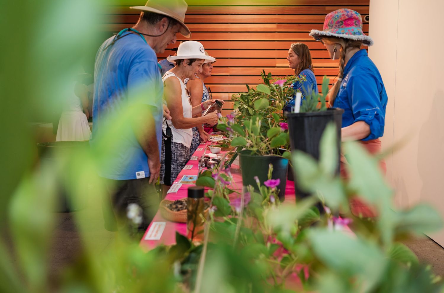 People browsing plants at an outdoor garden market, wearing hats and examining tropical greenery on a pink display table.