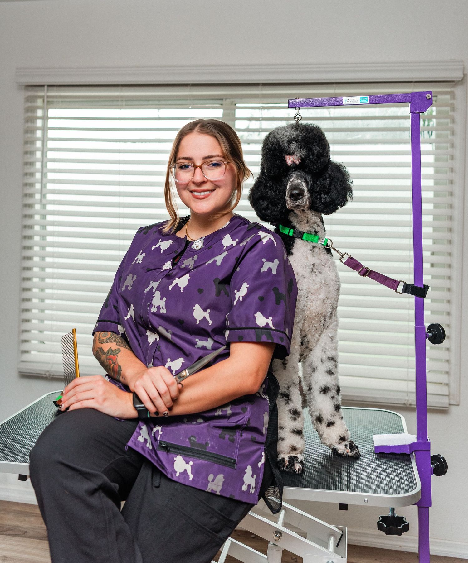 A poodle sits beside someone wearing a purple shirt with white bow patterns in a home office setting.