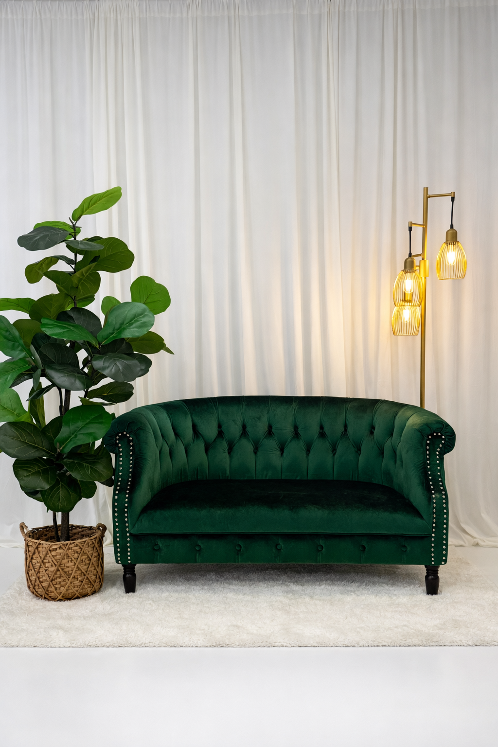 Elegant green velvet tufted Chesterfield loveseat with fiddle leaf fig plant and gold floor lamp.