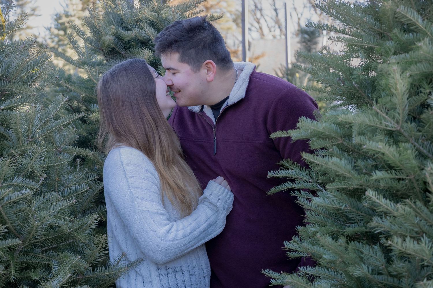 Couple sharing a romantic moment among lush green Christmas trees at a festive tree farm.