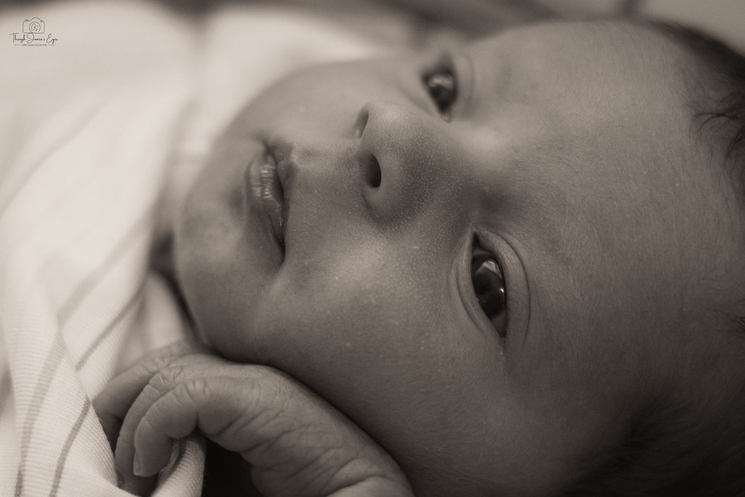 addilynn rose newborn session greyskiescollective profolio