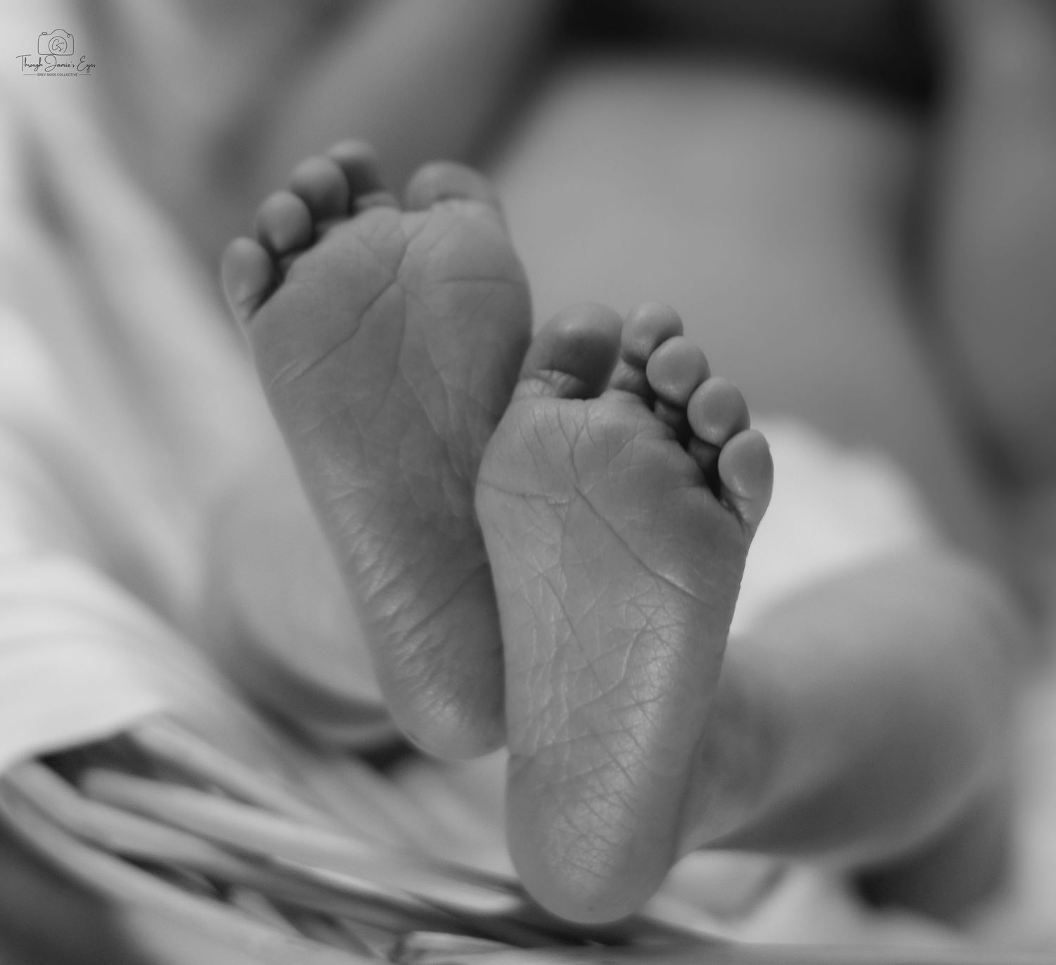 addilynn rose newborn session greyskiescollective profolio