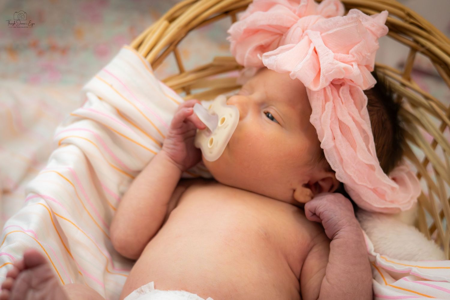 addilynn rose newborn session greyskiescollective profolio