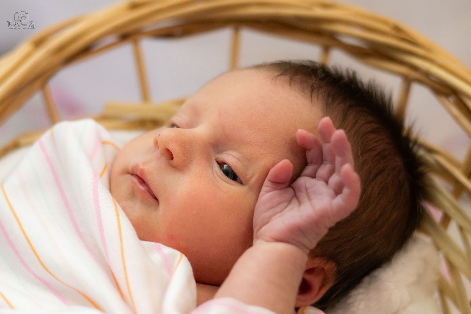 addilynn rose newborn session greyskiescollective profolio