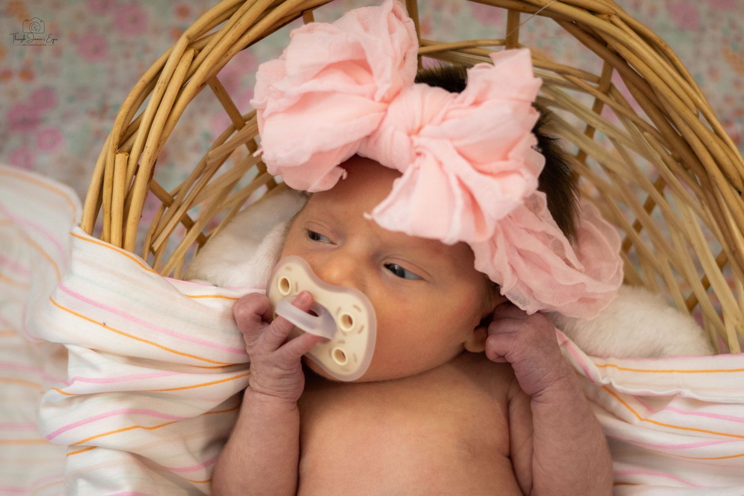 addilynn rose newborn session greyskiescollective profolio
