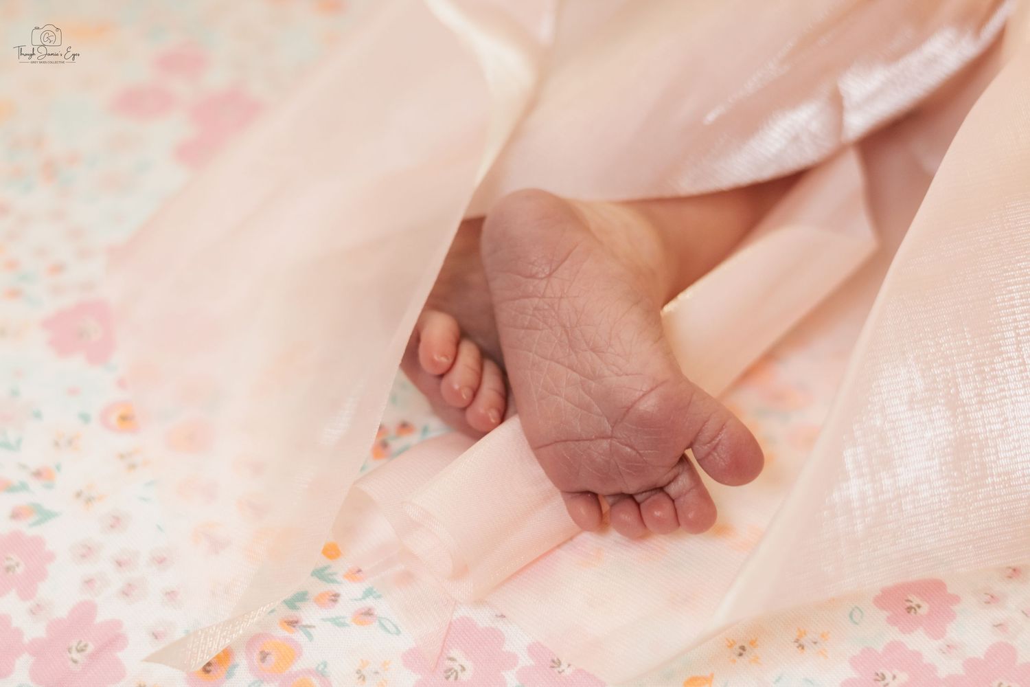 addilynn rose newborn session greyskiescollective profolio