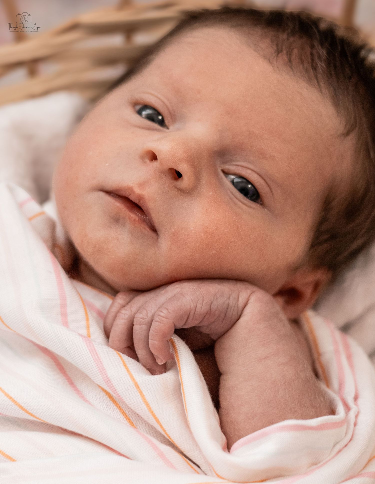 addilynn rose newborn session greyskiescollective profolio