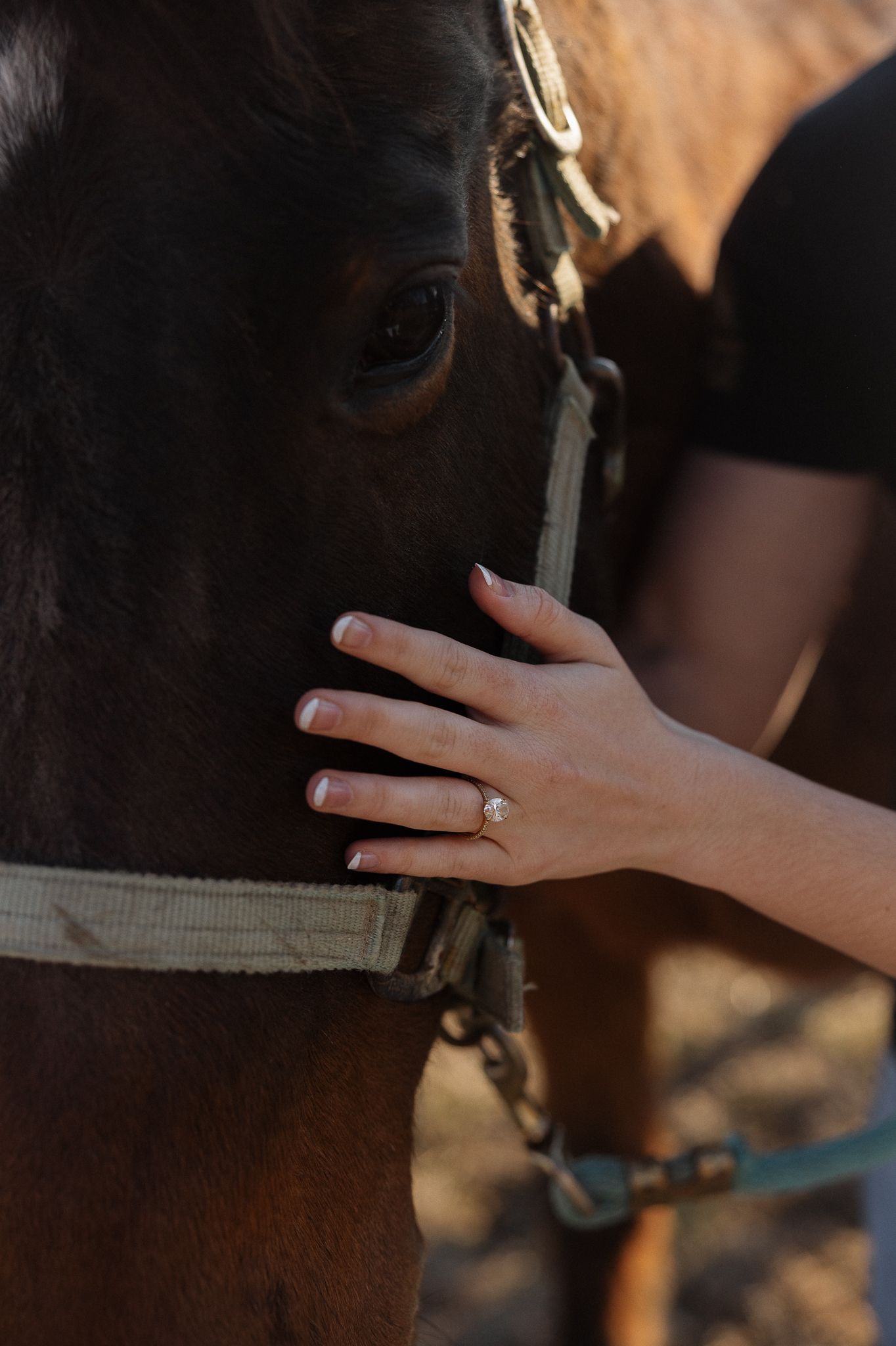 Lancaster County Engagement Photos Field