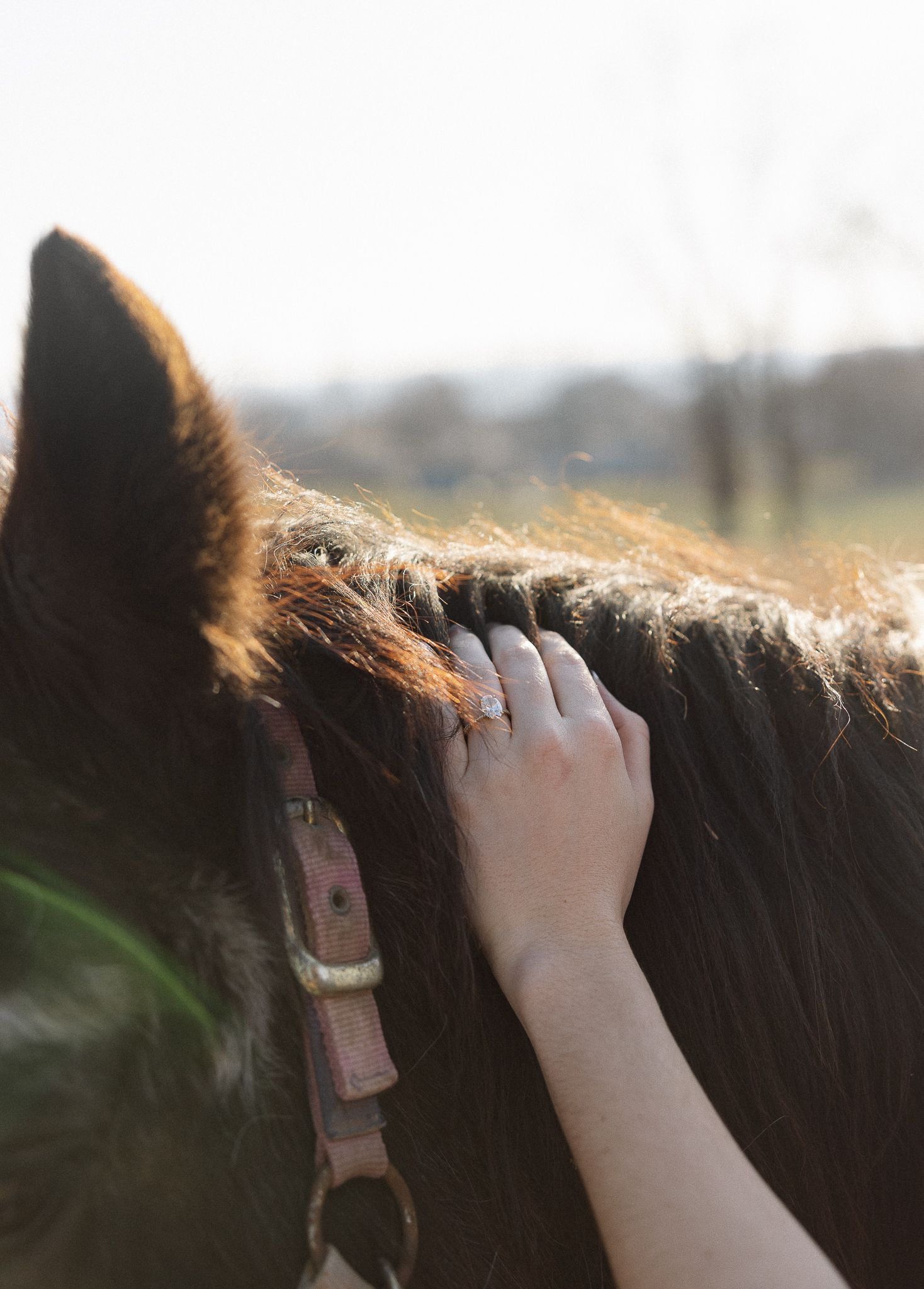 Lancaster County Engagement Photos Field