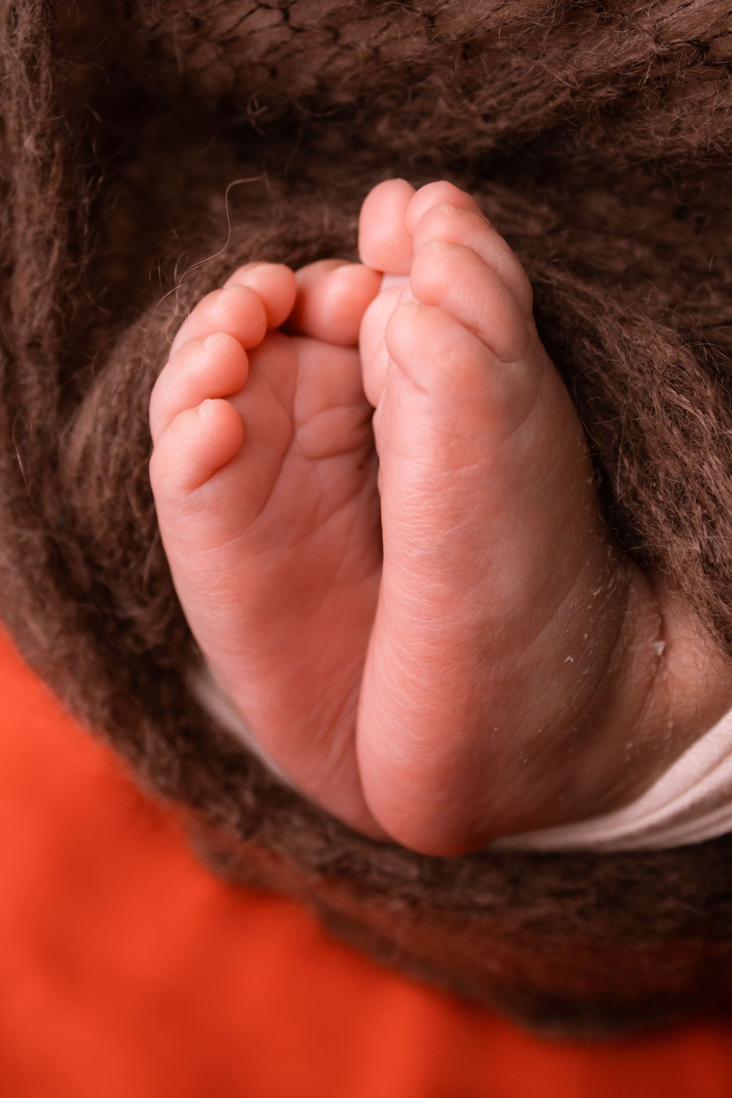 Middelburg Mpumalanga Newborn Photoshoot