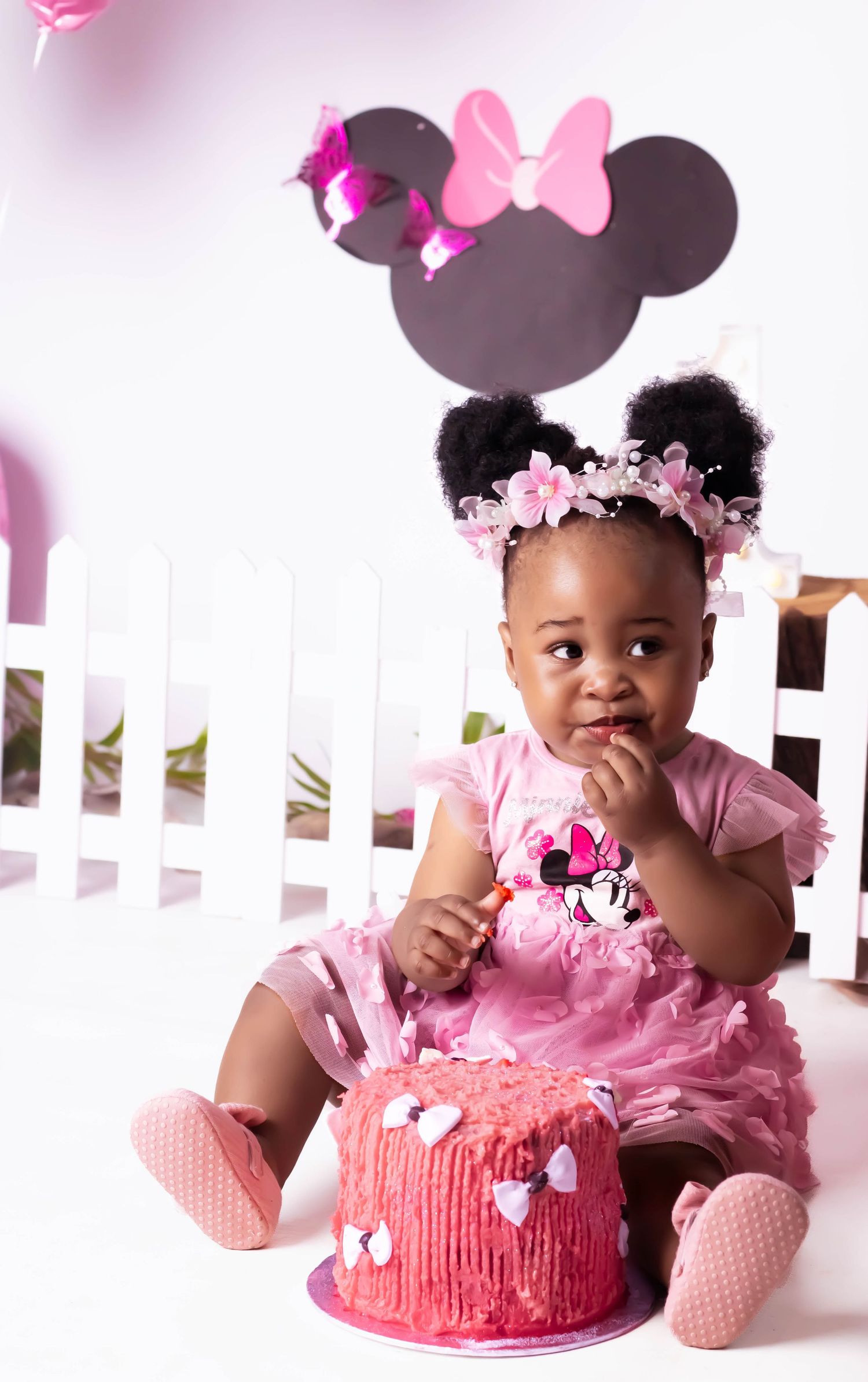 Cake Smash Middelburg Mpumalanga Mini Mouse Cake Smash