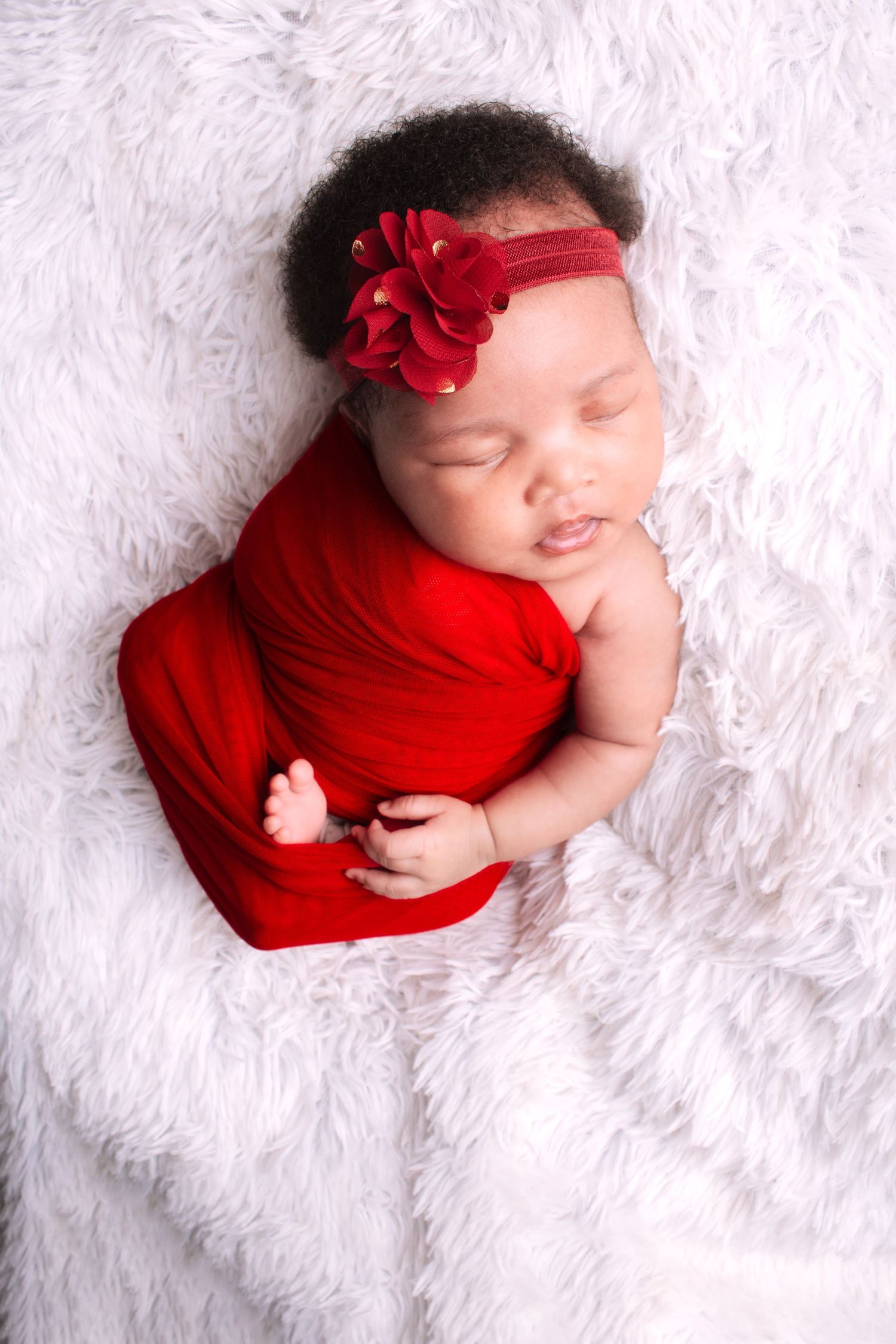 Newborn Photoshoot Middelburg Mpumalanga South Africa