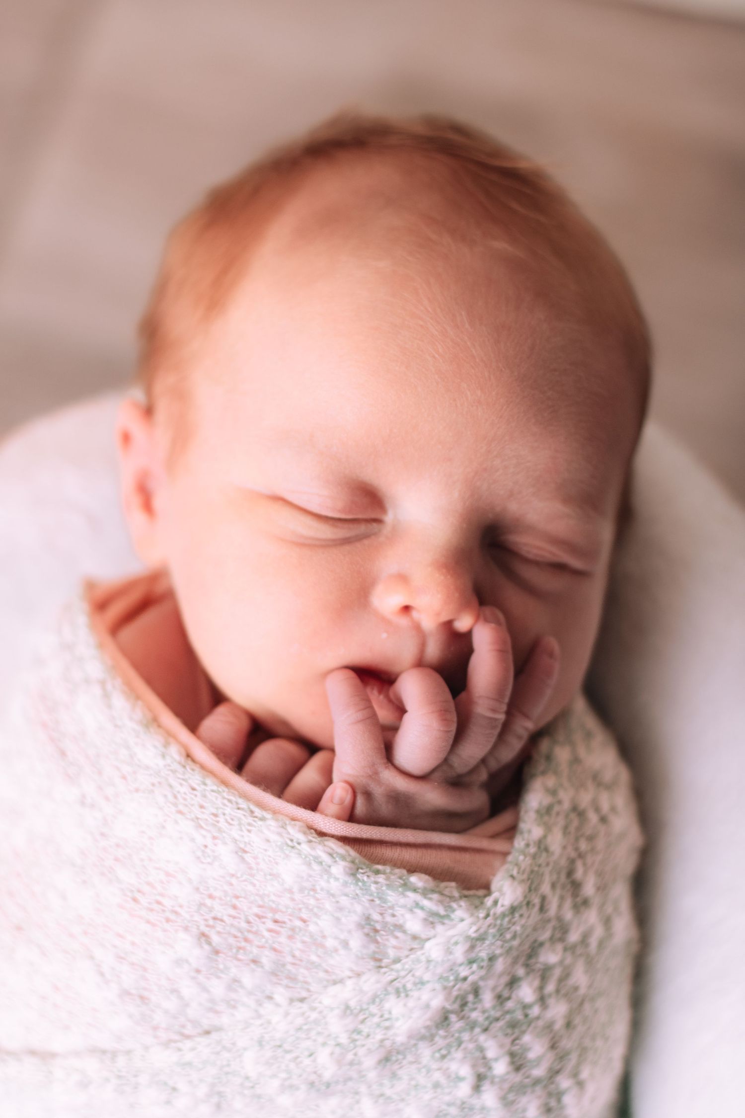 Middelburg Mpumalanga Newborn Photoshoot Photography