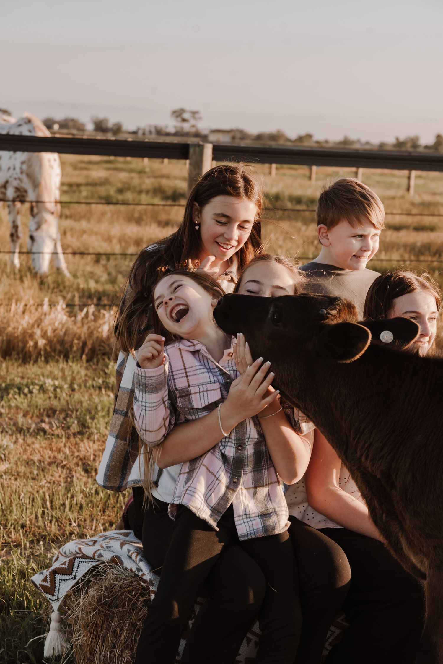 family-playing-in-field-during-golden-hour-tongala