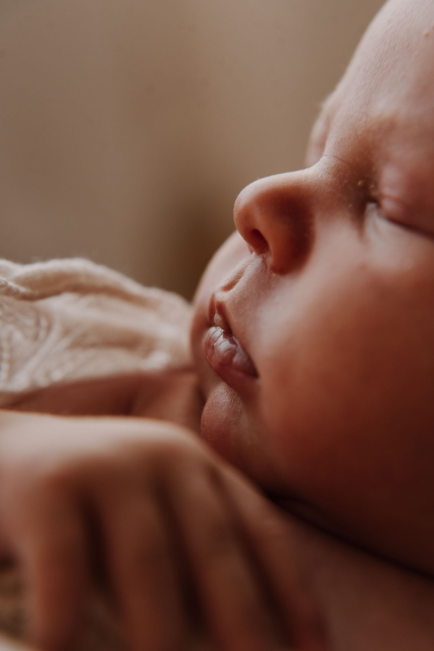 tongala-newborn-photography