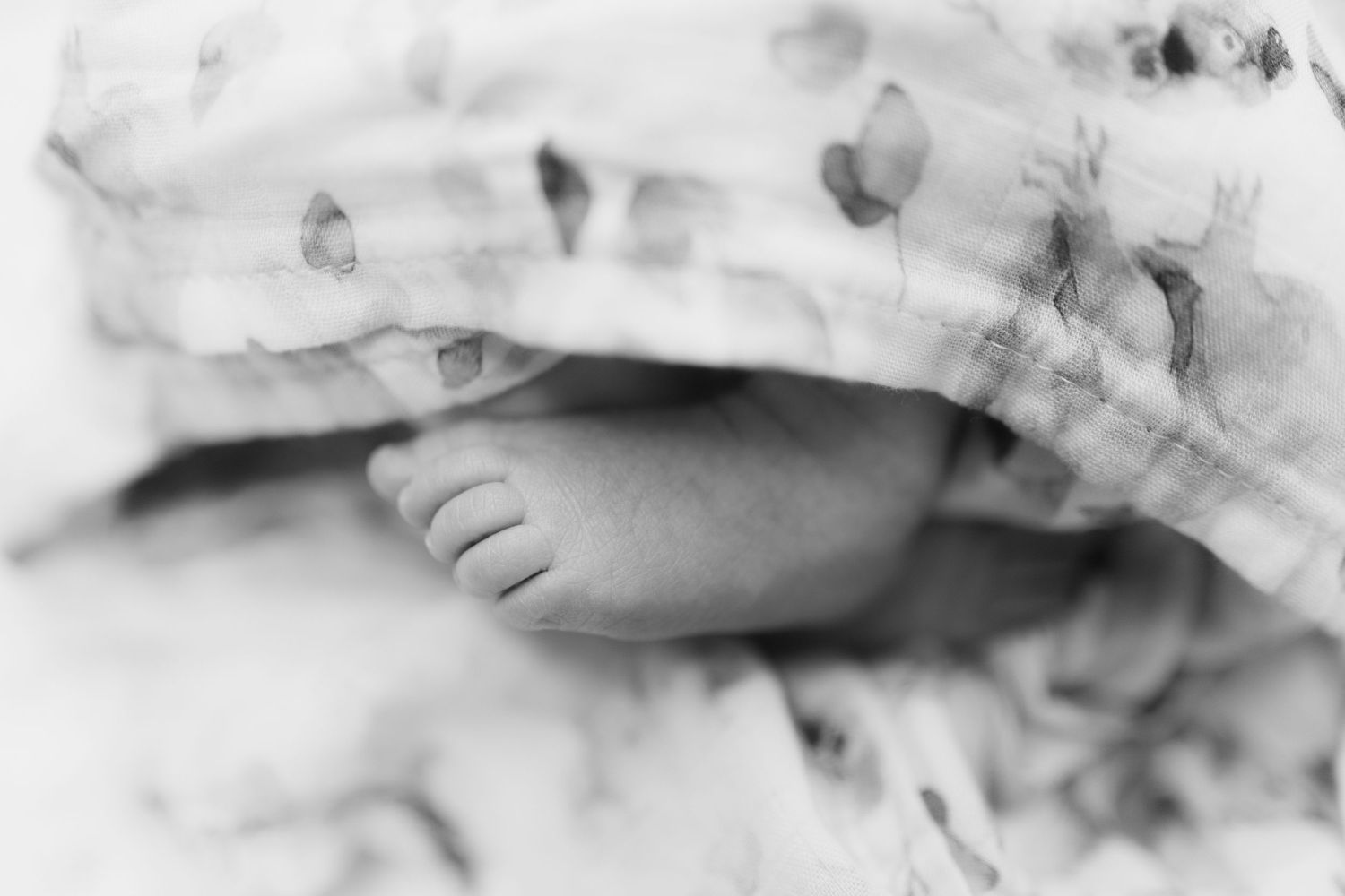 Close-up black and white photo of a newborn baby's tiny toes peeking out from a soft floral blanket.