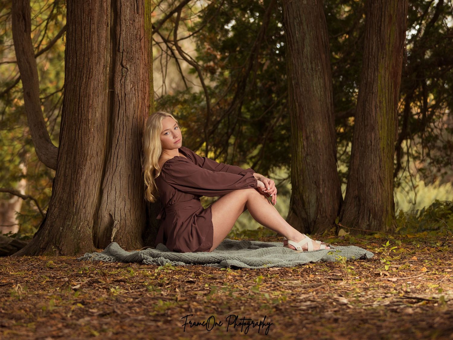 A figure sits peacefully against a tree trunk in a sunlit autumn forest with fallen leaves scattered around.