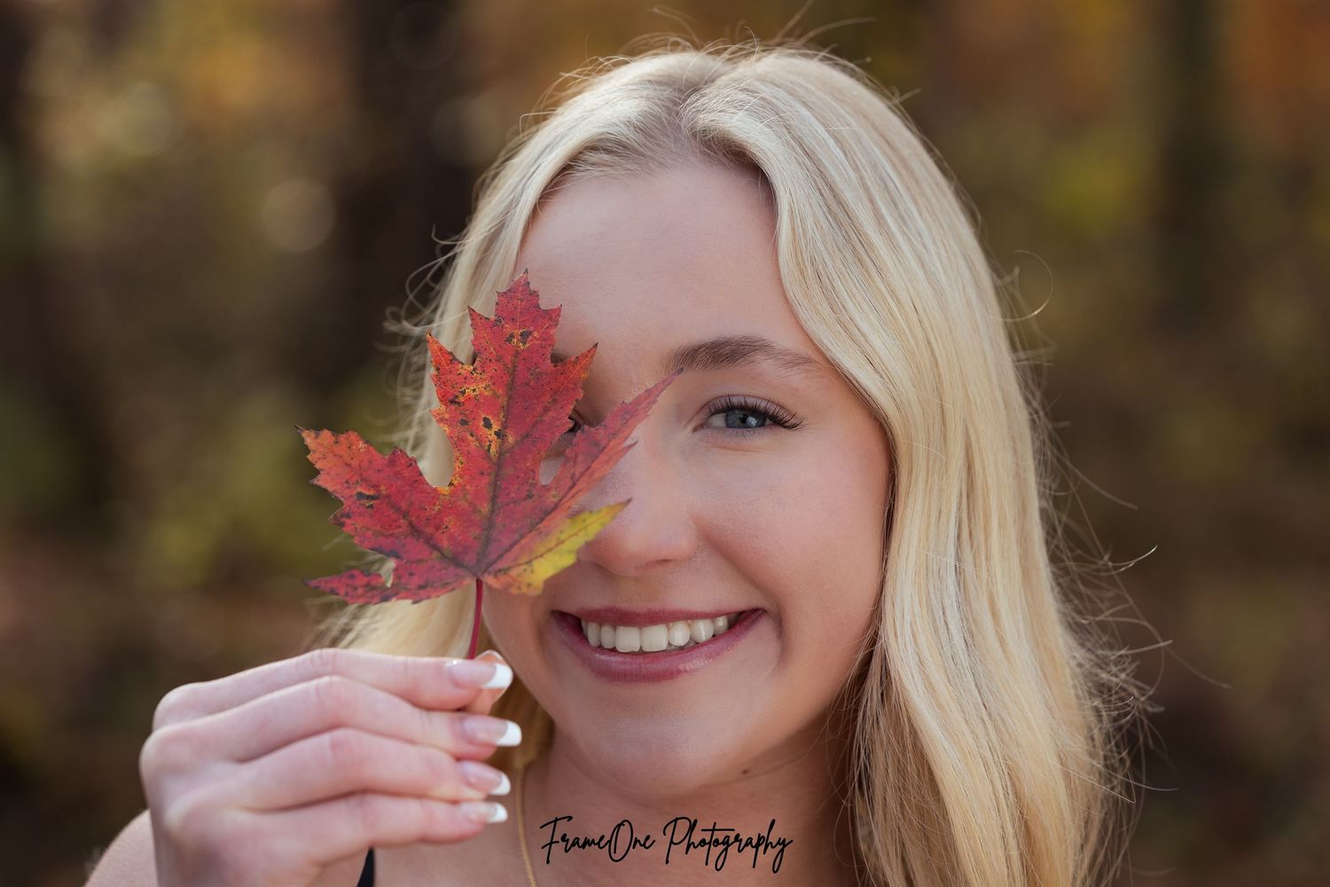 A bright red autumn maple leaf is held up against a blurred fall background.