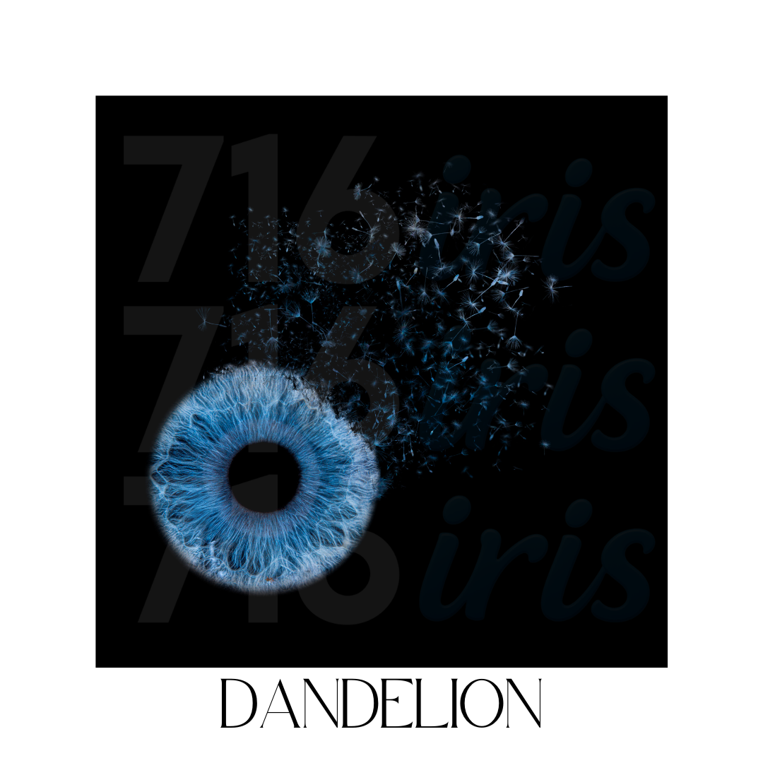 A glowing blue iris dispersing into particles against a black background with numbers and text reading DANDELION.