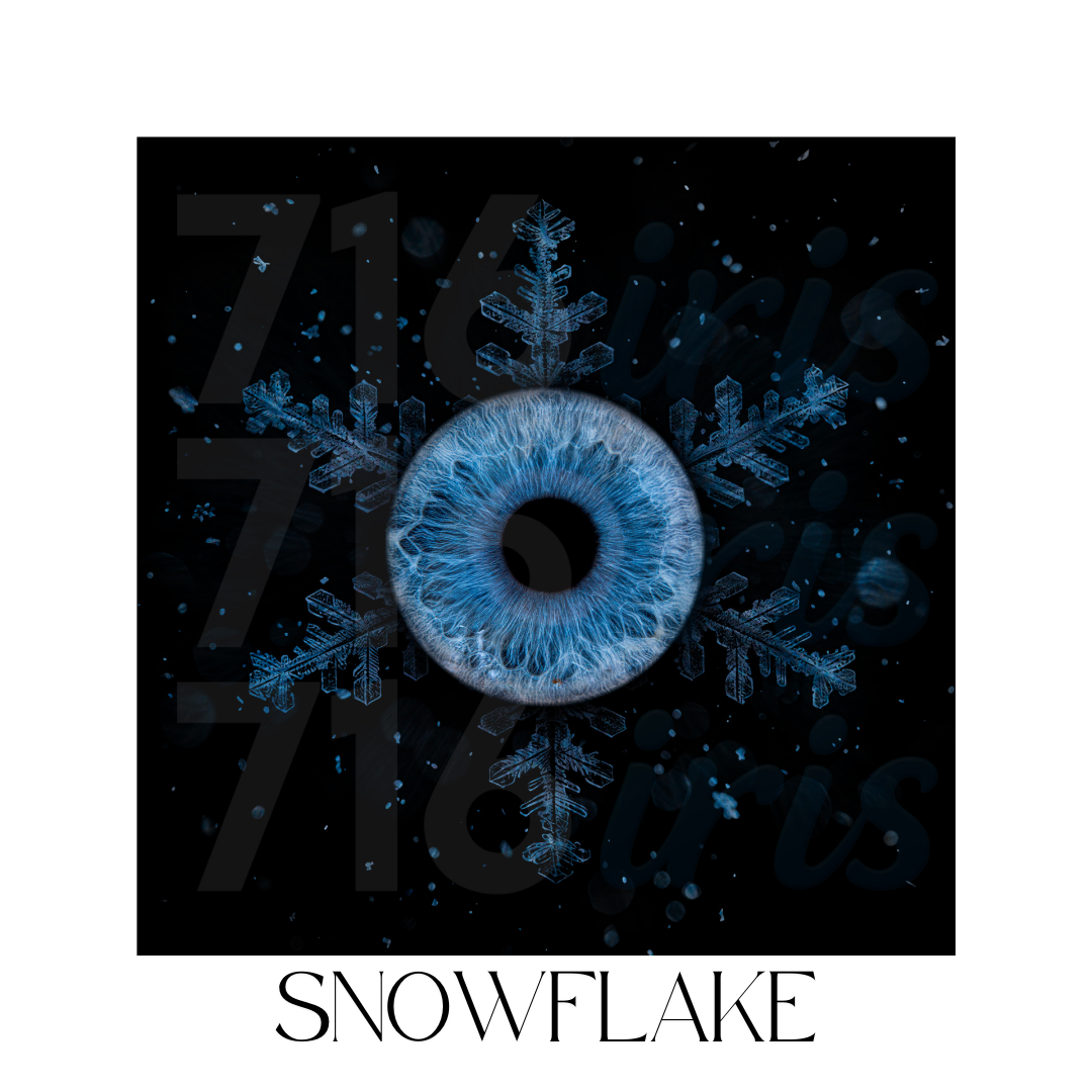 Abstract blue snowflake logo design with dark background and text showing multiple variations of the word 'snowflake'.