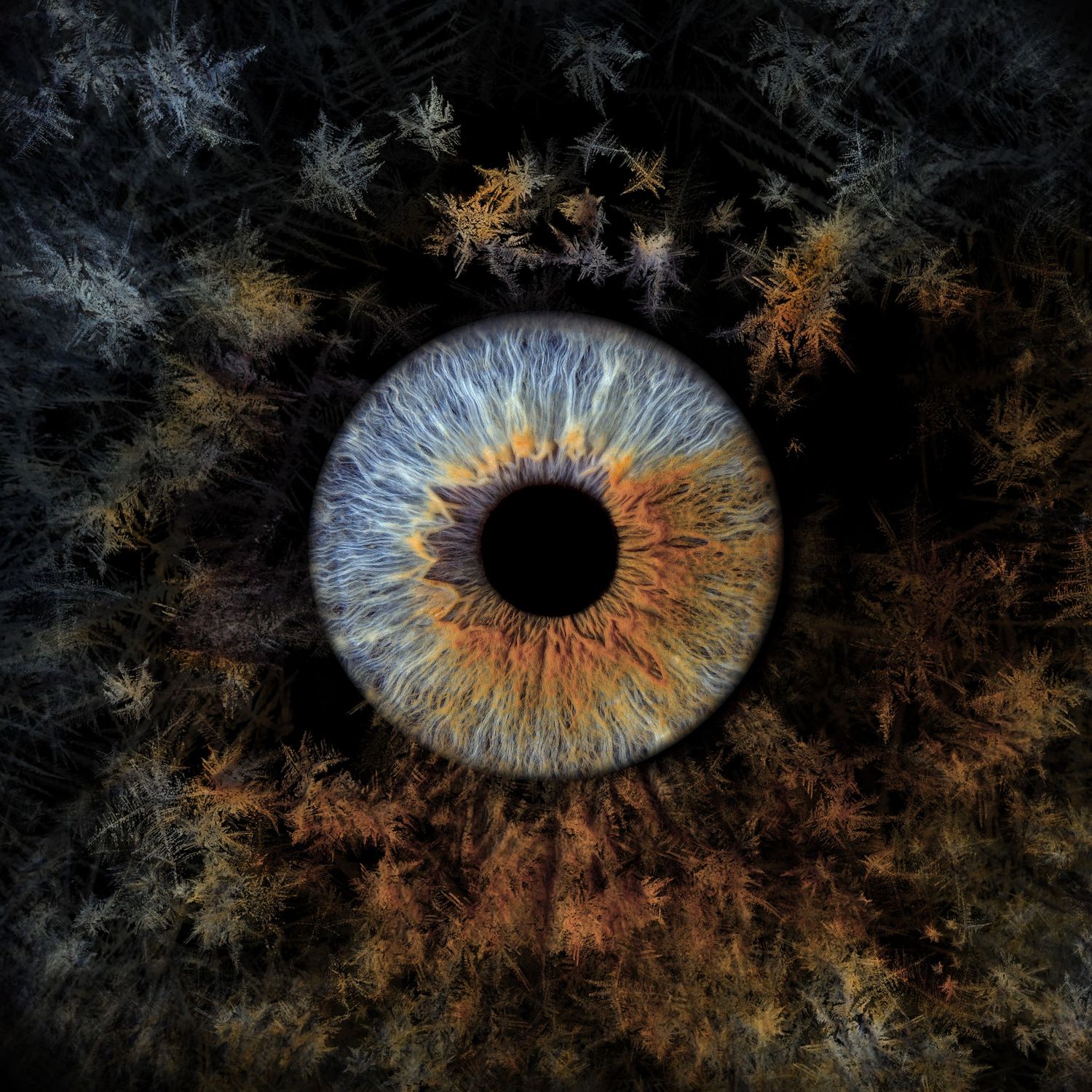 Close-up macro photograph of a human eye iris with blue and amber tones surrounded by dark fractal patterns.