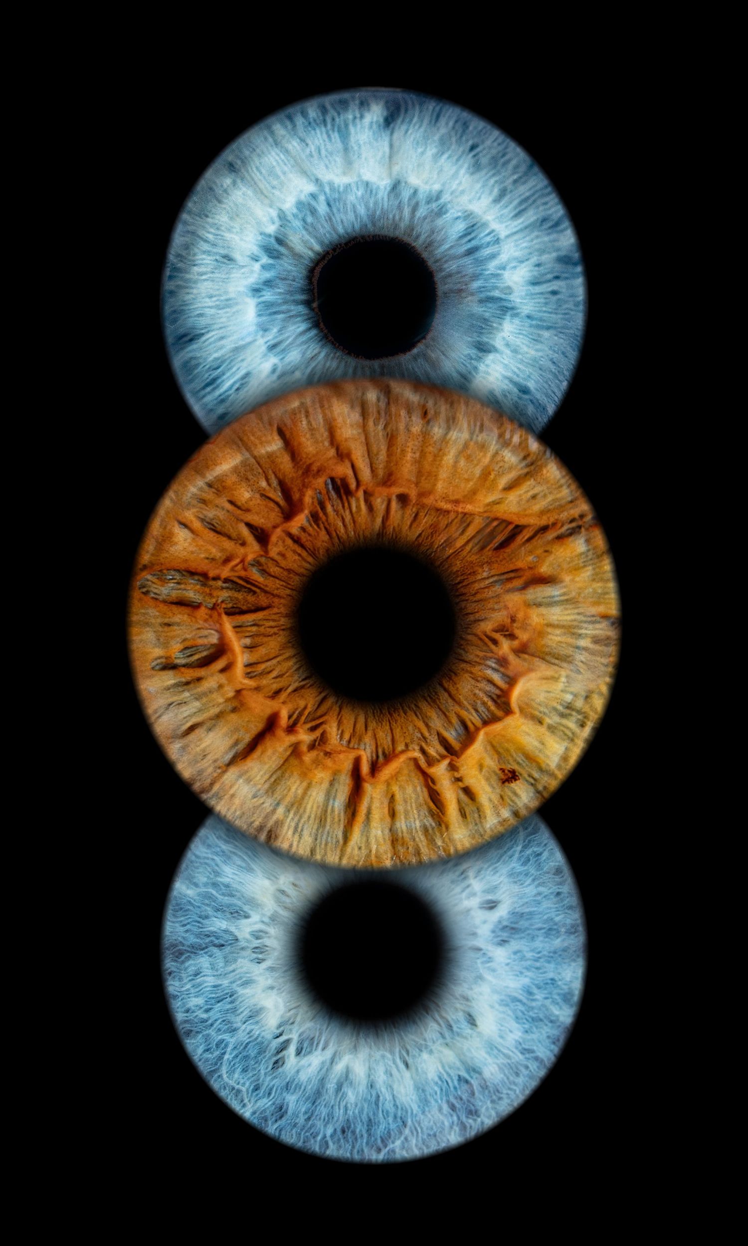 Three close-up iris photographs arranged vertically showing two blue eyes and one amber eye against a black background.