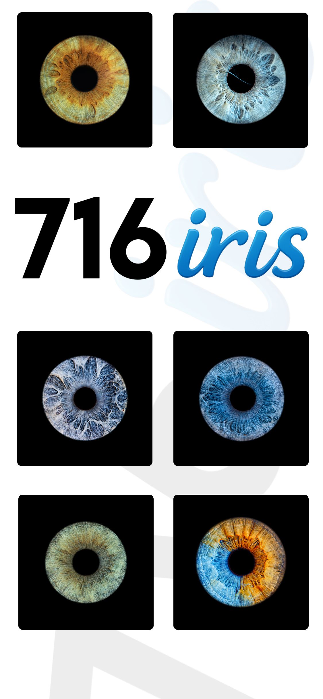 Macro closeup photographs of human irises in various colors including brown, blue, and green arranged in a grid pattern.