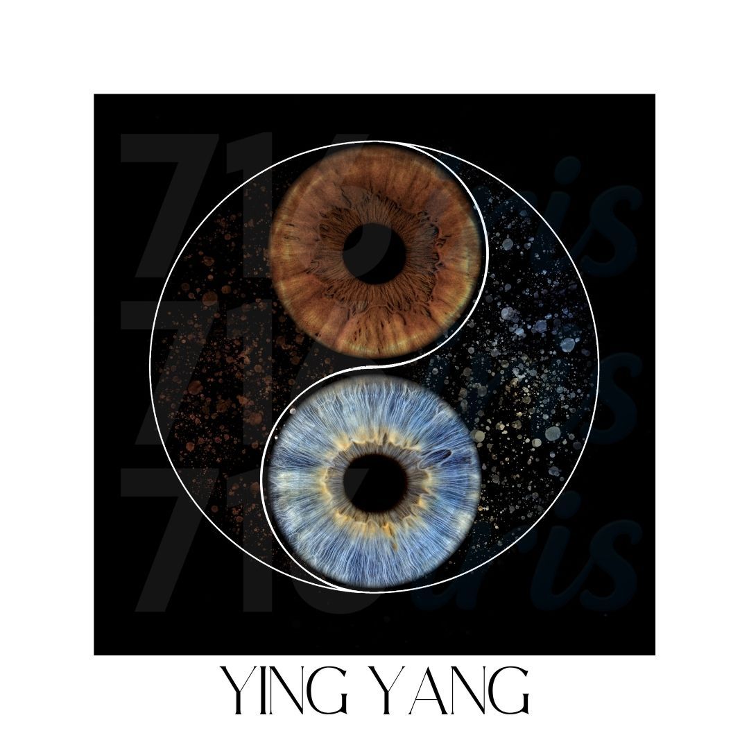 716 iris Creative yin yang symbol made from contrasting brown and blue iris patterns on black background.