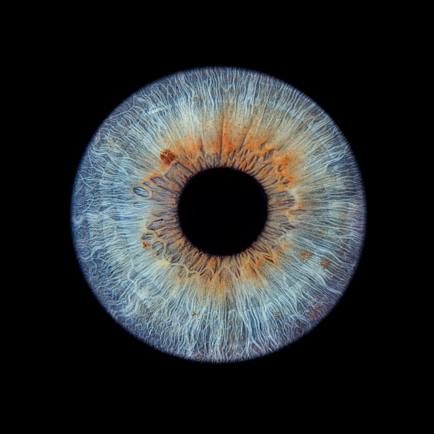 716 iris Close-up macro photography sequence showing a blue human iris with intricate patterns and textures against black background.