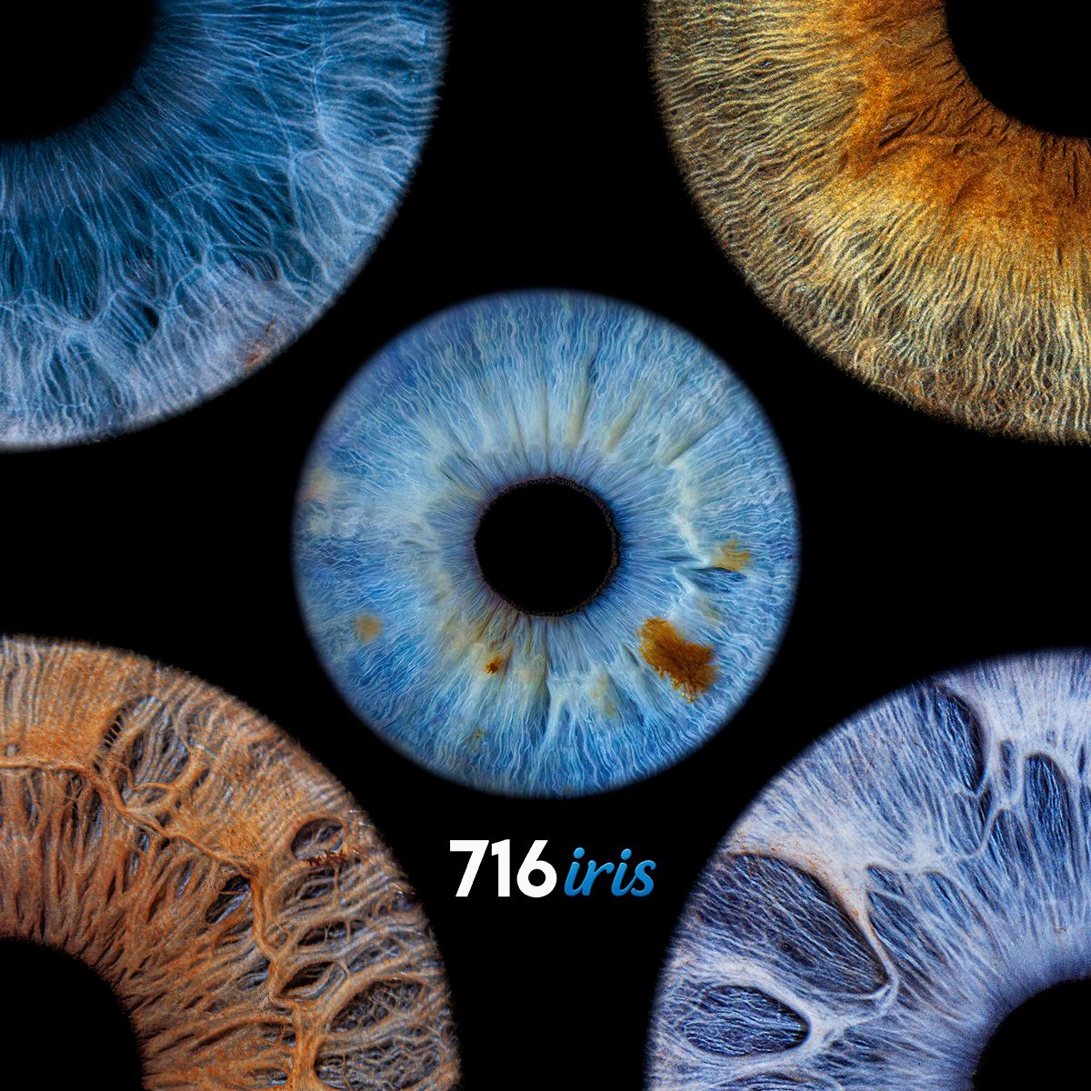 Close-up macro photography of human irises in blue and brown colors showing intricate patterns and textures.
