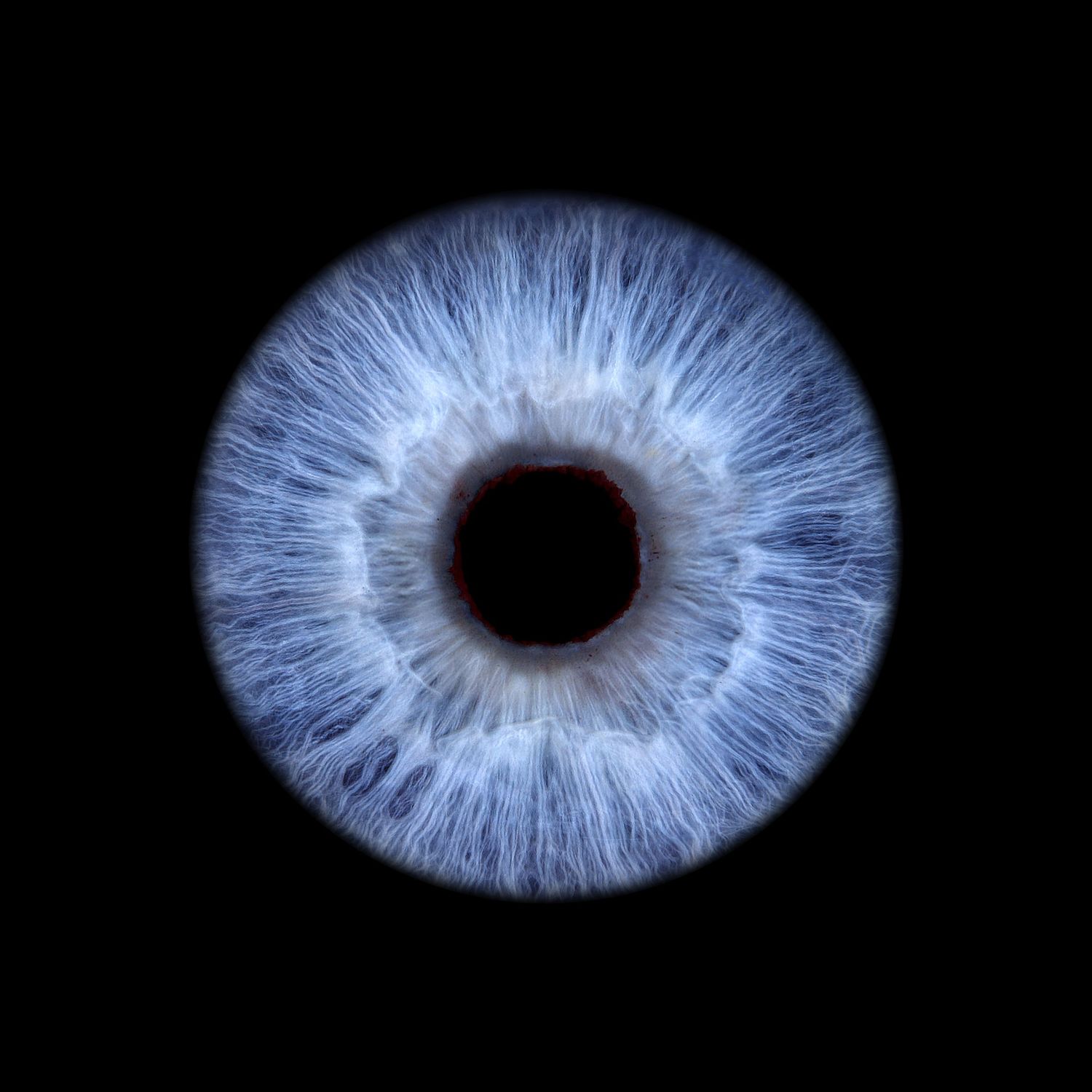 Close-up macro photograph of a striking blue human iris with detailed texture against a black background.