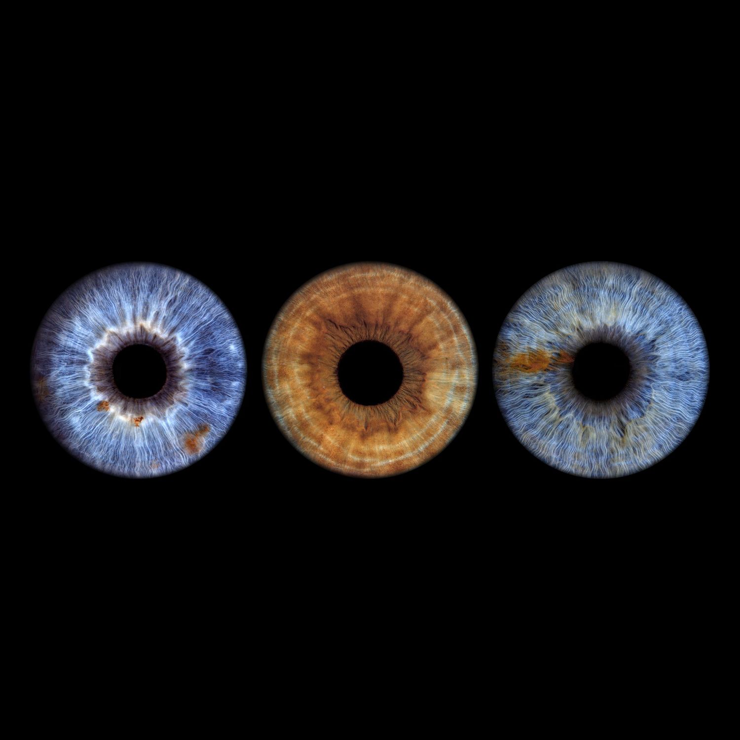 Iris Photography Three close-up human irises on black background, two blue and one brown, showing intricate iris patterns and textures.