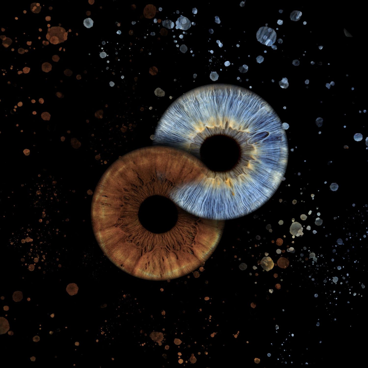 716 iris Two detailed iris close-ups, one brown and one blue, arranged in an infinity symbol against a dark starry background.