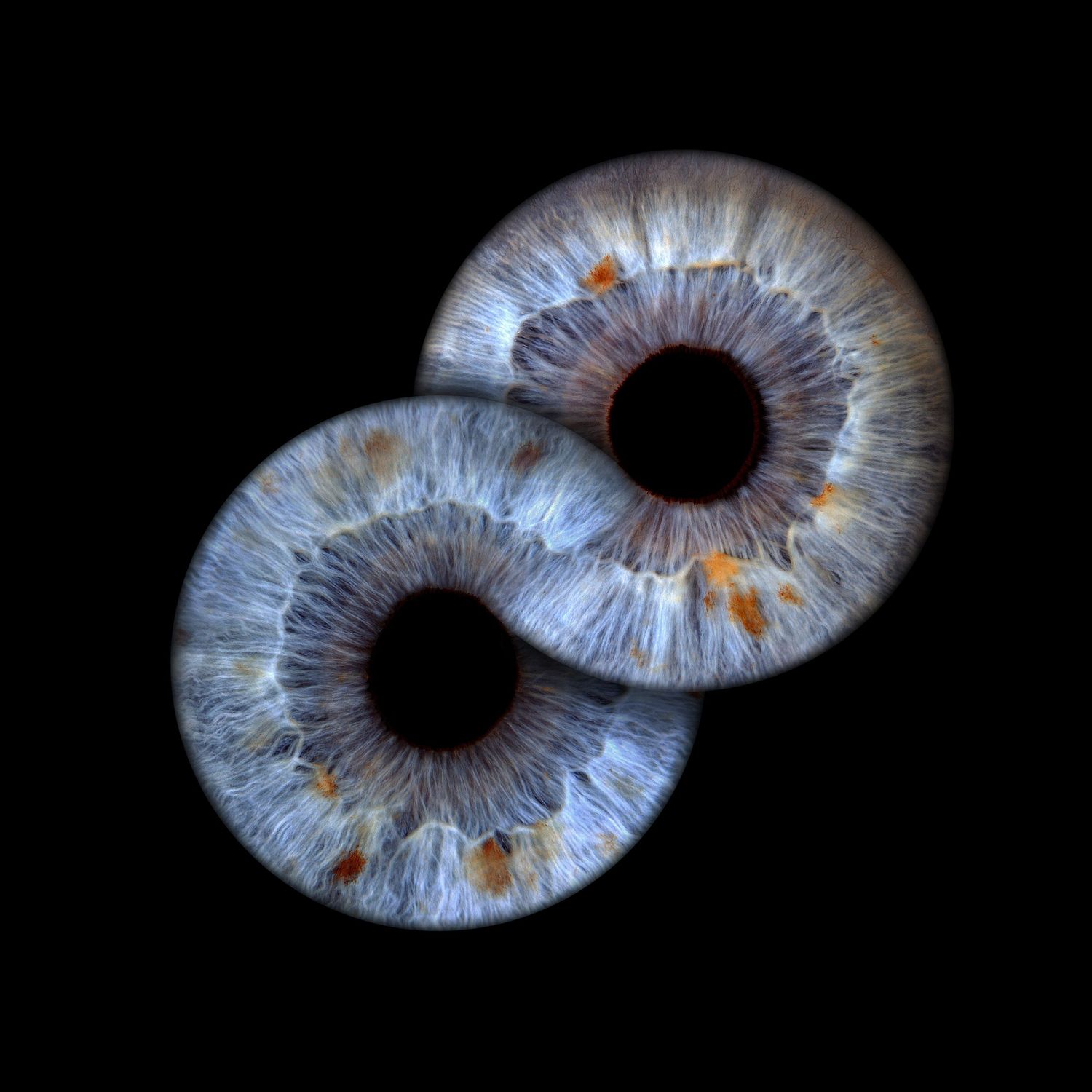 Close-up macro photo of two overlapping human irises with blue, gray, and amber tones on black background.