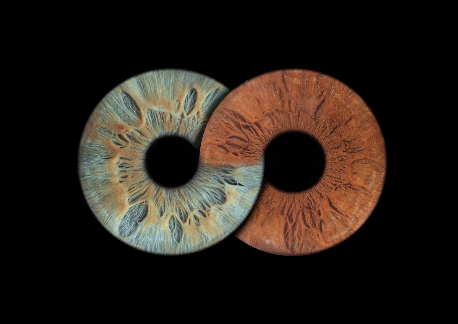 Two circular sculptures resembling human irises, one blue and one orange, arranged in an infinity symbol pattern against black.