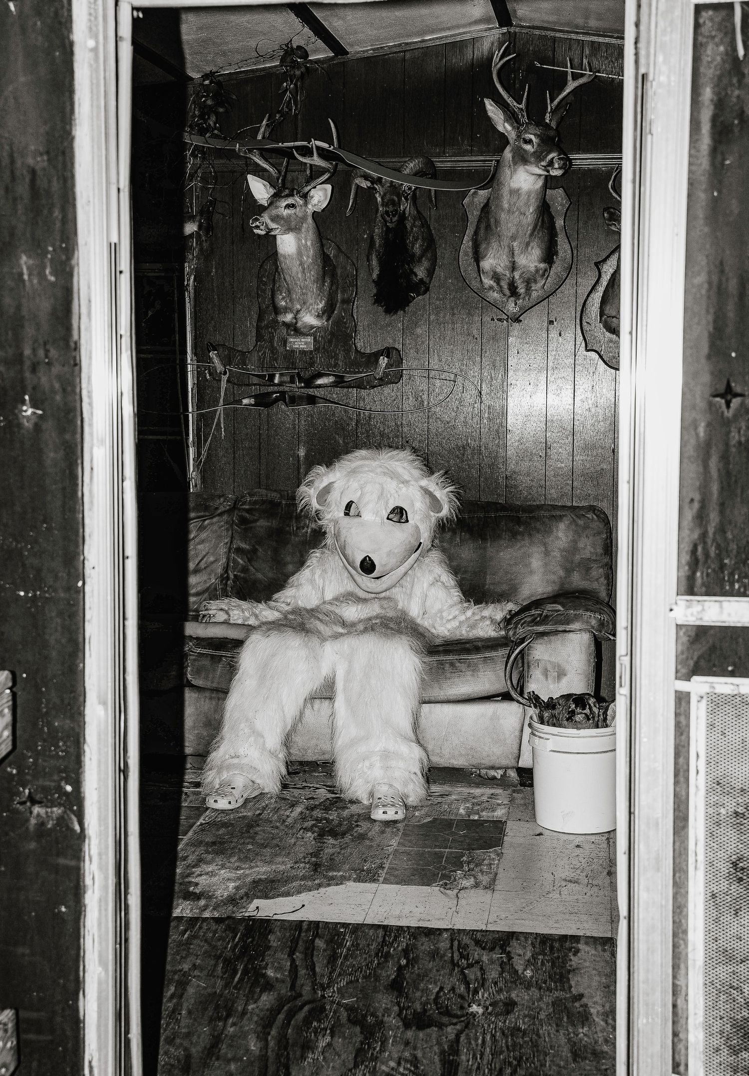 A white dog sits in a doorway beneath mounted deer head trophies in this vintage black and white photograph.