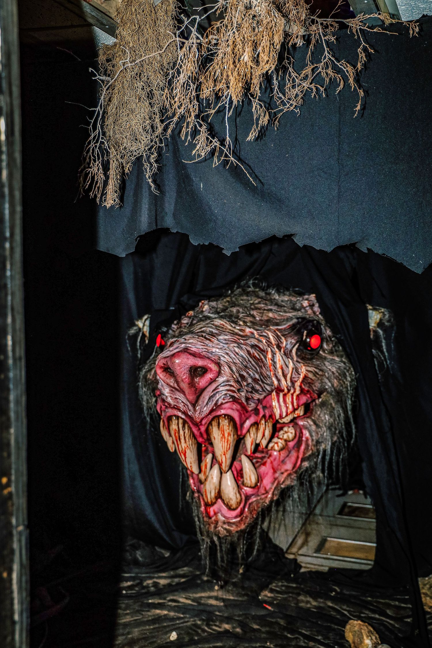 Glowing red demonic faces illuminate a dark haunted house scene with eerie lighting effects.