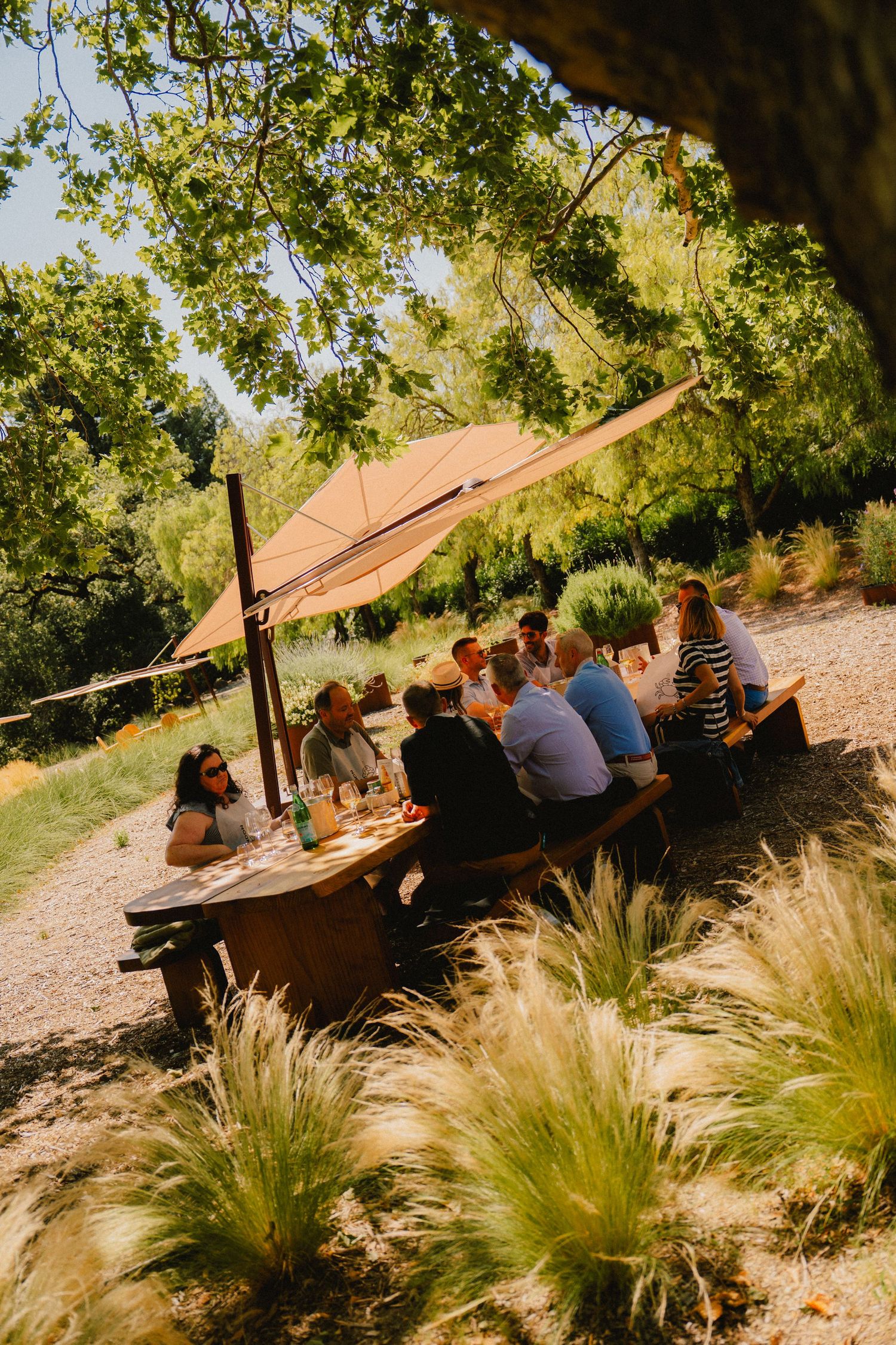 portrait, food product, coffee, restaurant, winery beer brand marketing photography by Sen Saelee blacklinelaab Sacramento and placer county