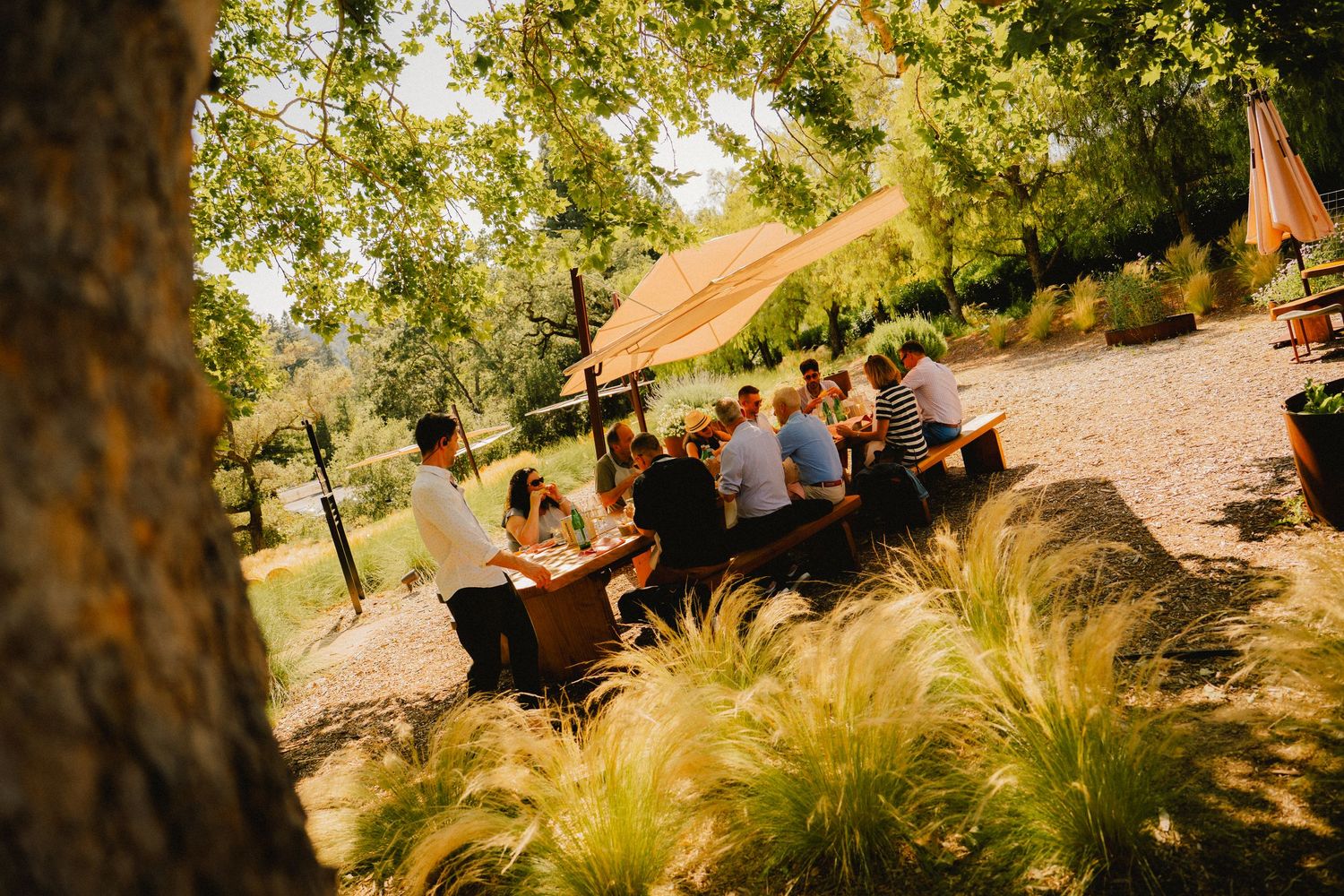 portrait, food product, coffee, restaurant, winery beer brand marketing photography by Sen Saelee blacklinelaab Sacramento and placer county