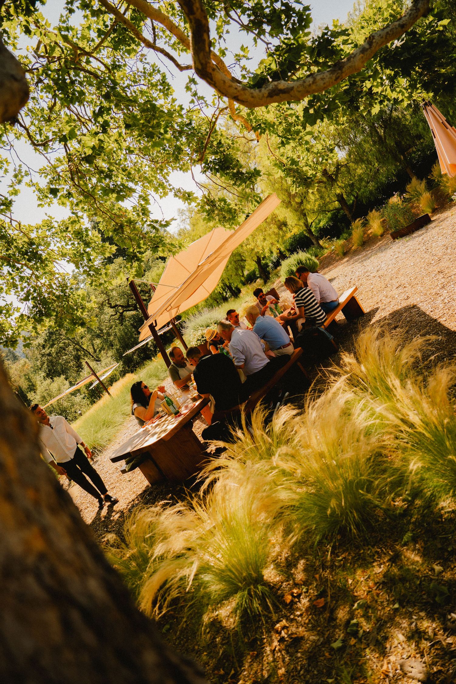 portrait, food product, coffee, restaurant, winery beer brand marketing photography by Sen Saelee blacklinelaab Sacramento and placer county