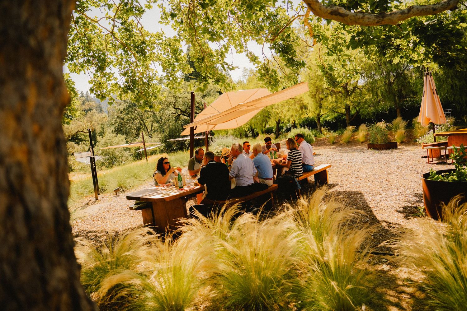 portrait, food product, coffee, restaurant, winery beer brand marketing photography by Sen Saelee blacklinelaab Sacramento and placer county