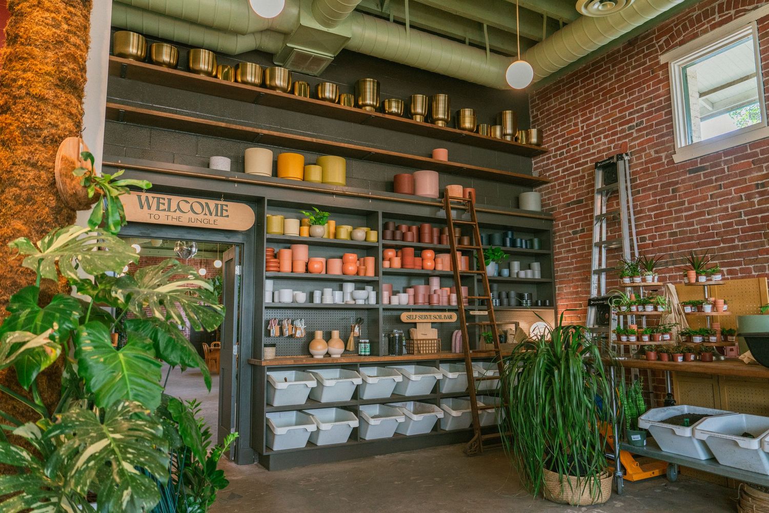 portrait, product, food, coffee, restaurant, social media and marketing photography Sen Saelee @ blacklinelaab Sacramento and placer county