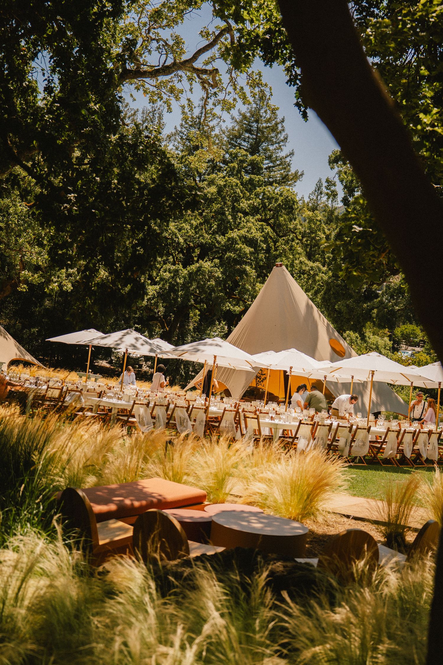 portrait, food product, coffee, restaurant, winery beer brand marketing photography by Sen Saelee blacklinelaab Sacramento and placer county