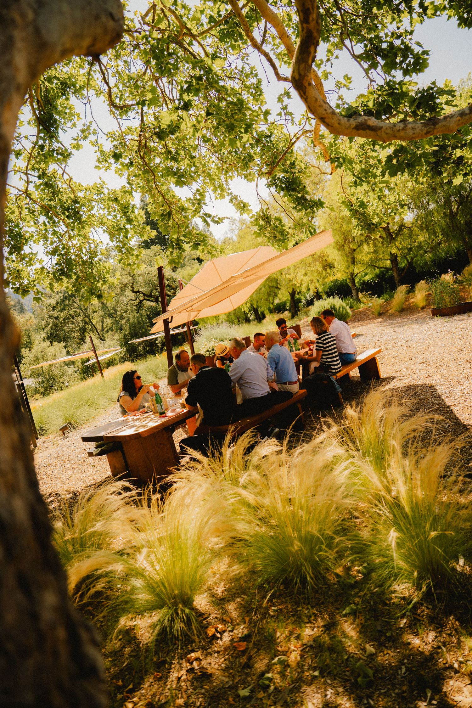 portrait, food product, coffee, restaurant, winery beer brand marketing photography by Sen Saelee blacklinelaab Sacramento and placer county